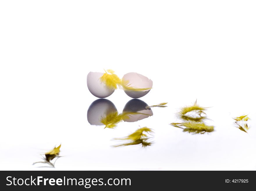 A broken eggshell and yellow feathers on white. A broken eggshell and yellow feathers on white