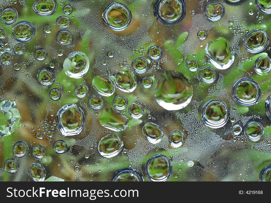 Water drops on green house glass