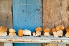 Fresh Mushrooms Cepes Royalty Free Stock Photos Fresh Mushrooms Cepes Royalty Free Stock Photos