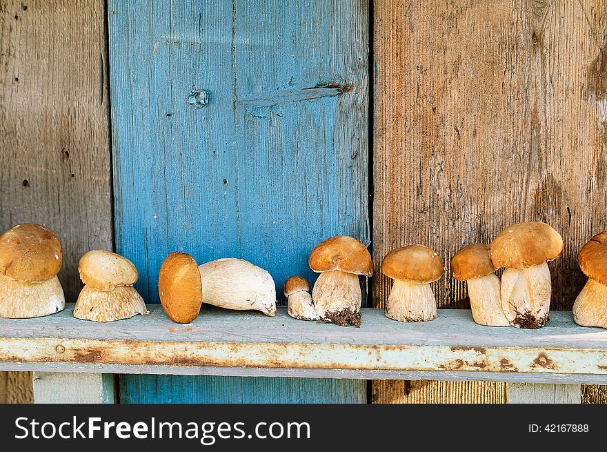 Fresh mushrooms cepes on wooden background