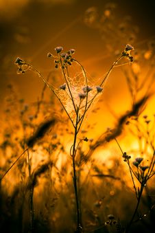 Landscape Of Morning Sunrise Stock Photo