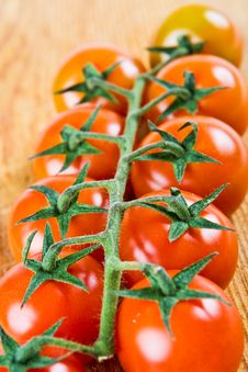 10 Red Tomatoes Stock Image