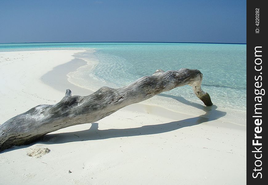 White sand e crystal water in a maldivian island. White sand e crystal water in a maldivian island.