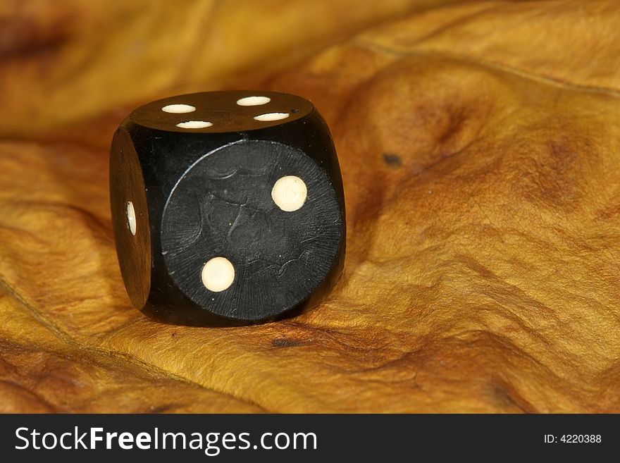 Black dice on dry yellow leaf. Black dice on dry yellow leaf