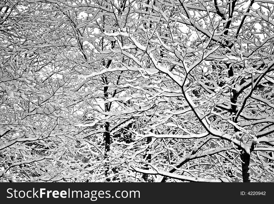 Stock image of a snowing winter at Boston, Massachusetts, USA. Stock image of a snowing winter at Boston, Massachusetts, USA