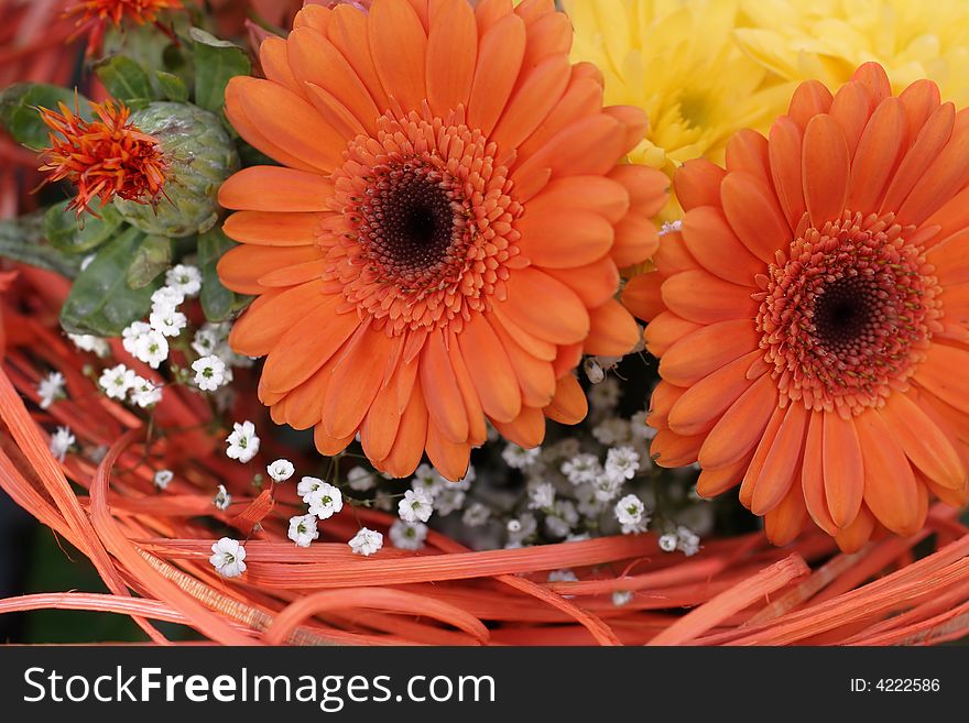 Arrangement with two orange gerber