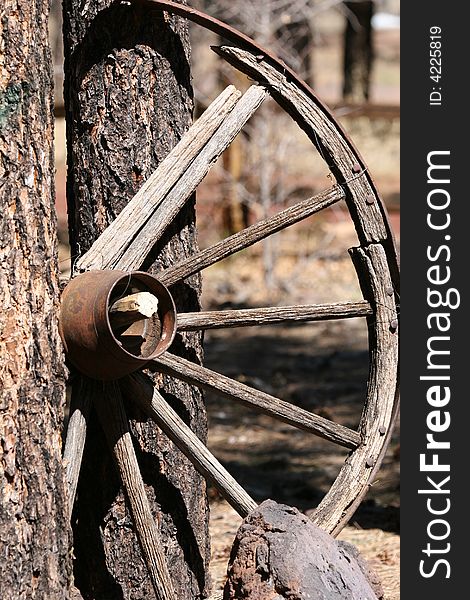 Old wagon wheel rests against a tree.