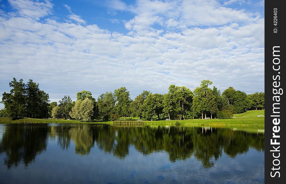 Inverted reflection of the trees in water in Lake    Tsarskoye Selo. Inverted reflection of the trees in water in Lake    Tsarskoye Selo