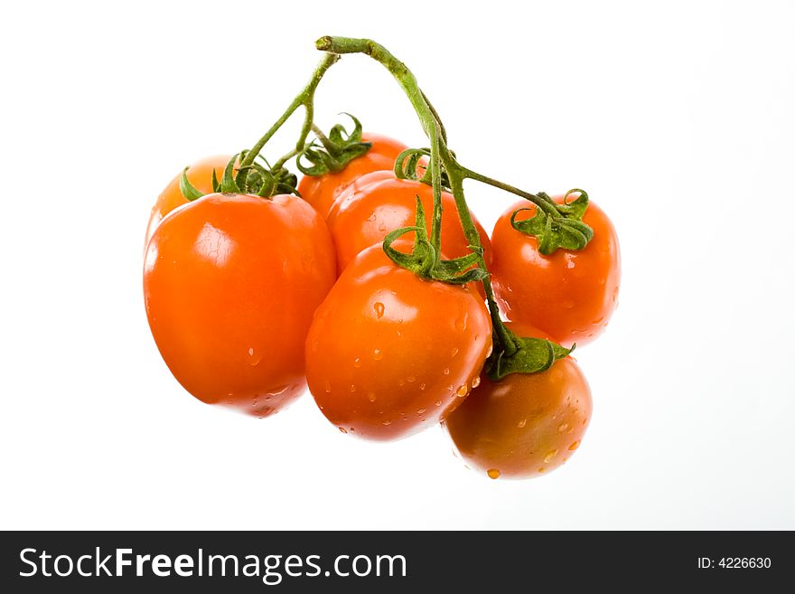 Isolated branch of red tomato on the white background. Isolated branch of red tomato on the white background