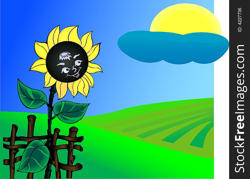 Alone funny sunflower in field