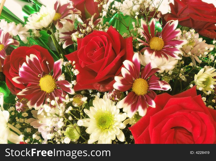 Colorful flower background with soft focus effect. Colorful flower background with soft focus effect