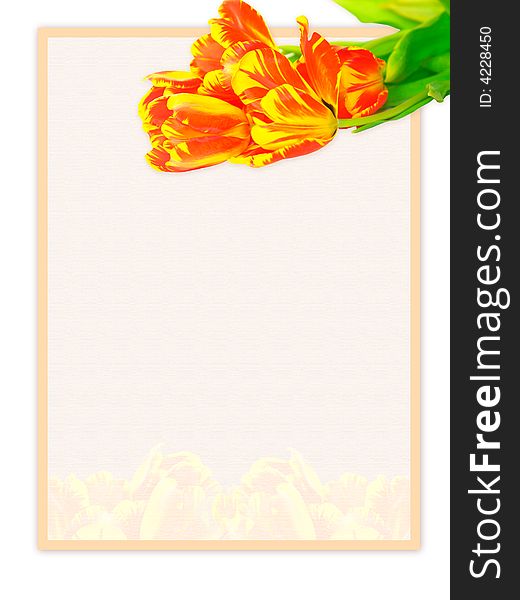Sheet of textured and decorated paper with fresh tulips on white background. Sheet of textured and decorated paper with fresh tulips on white background