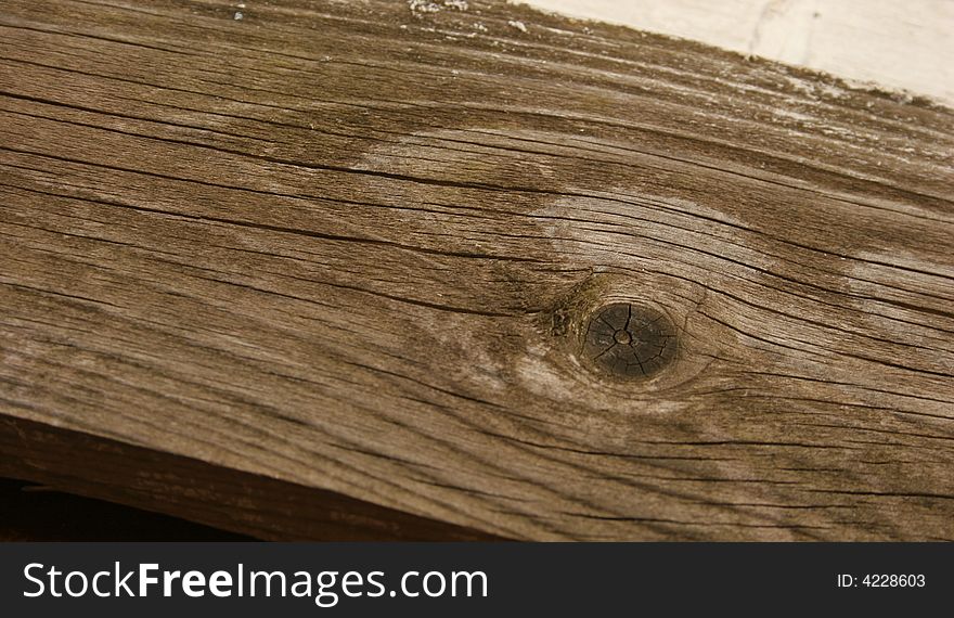 Background of an old tree. Background of an old tree