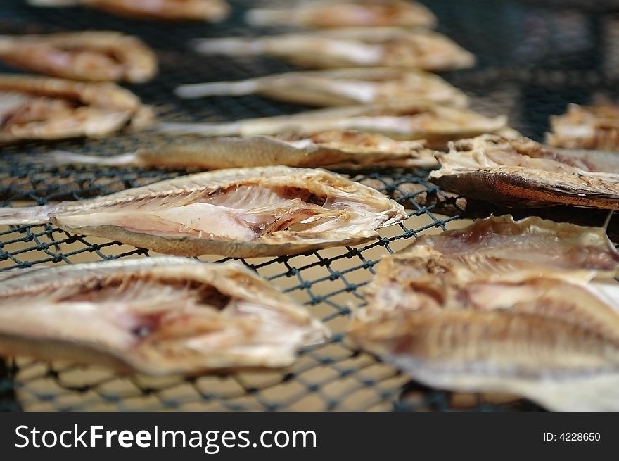 Close up of fish drying in the sun. Close up of fish drying in the sun