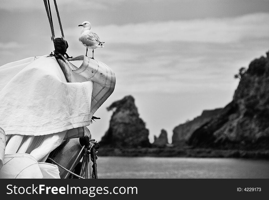 Seagull seated in the front of a boat.  Mountains on the background