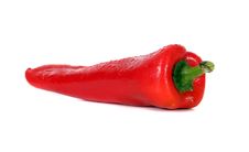 Hot And Spicy Stock Image Hot And Spicy Stock Image