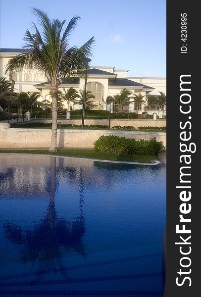 A large swimming pool at a luxury resort hotel with deep blue water and a palm tree reflected. A large swimming pool at a luxury resort hotel with deep blue water and a palm tree reflected