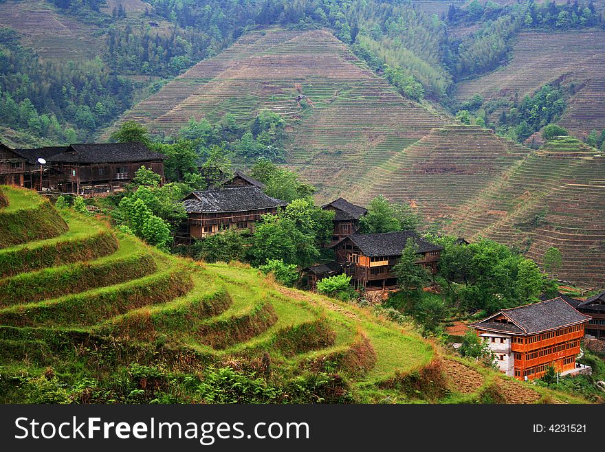 Terrace in longsheng,guilin, china