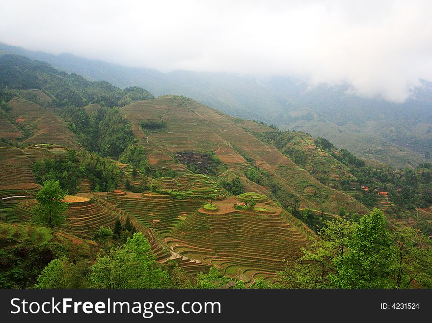 Terrace in longsheng,guilin, china