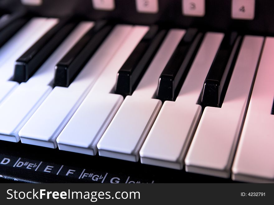 The keys found on an electronic organ. The keys found on an electronic organ