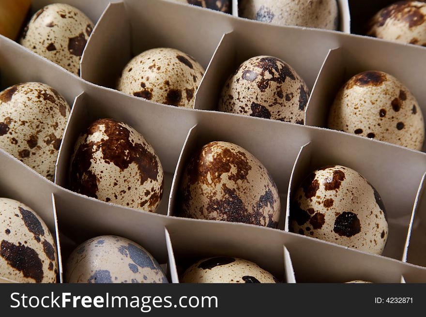 Pack of quail`s spotted eggs. Pack of quail`s spotted eggs.