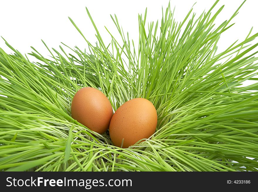 Easter eggs in green grass. Easter eggs in green grass