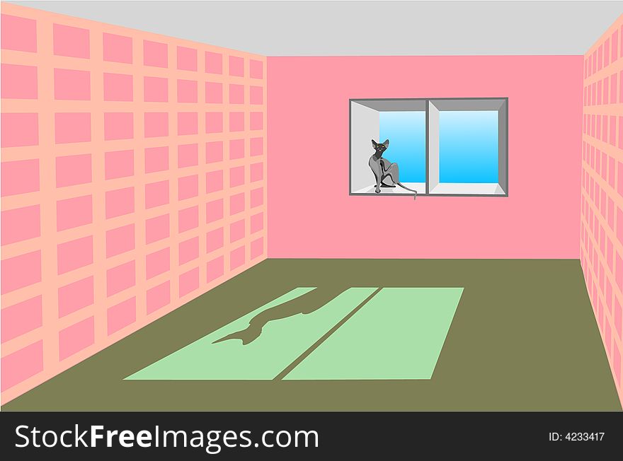 Shadow of a cat in a pink room