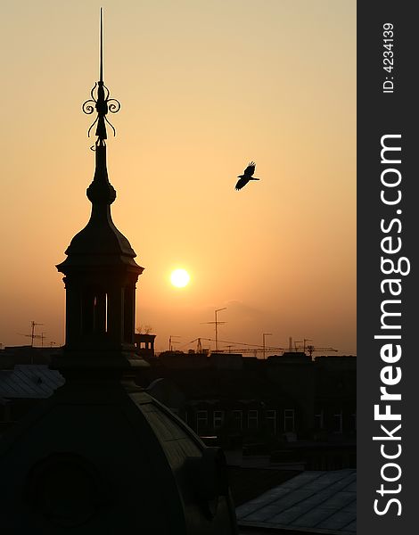 Roofs of the Saint-Petersburg city. Sunset. Roofs of the Saint-Petersburg city. Sunset.