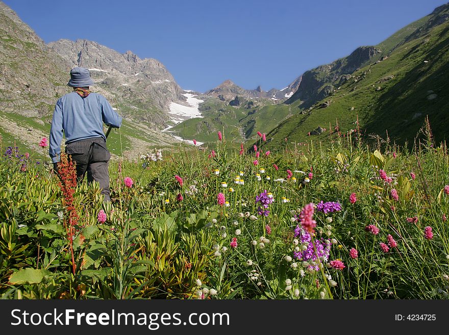 Tourist in mountains in the valley of flowers