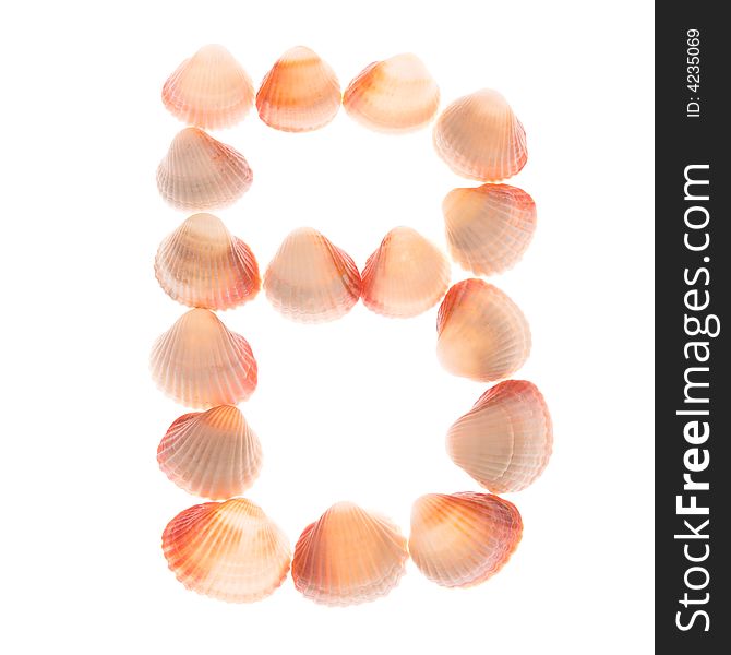 Shell letter B, white background, isolated