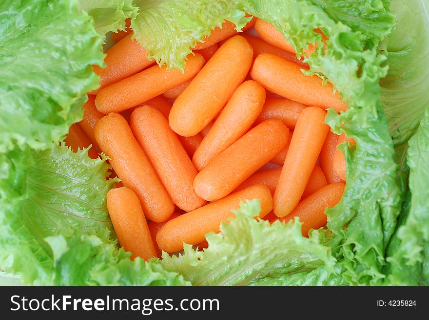 Fresh mini carrots and lettuce, close-up