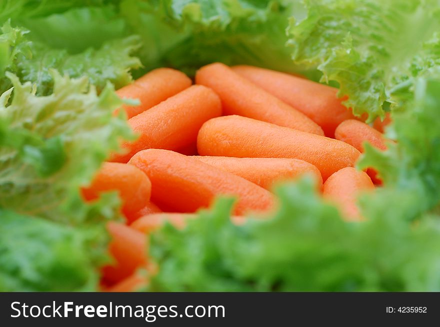 Fresh mini carrots and lettuce, close-up