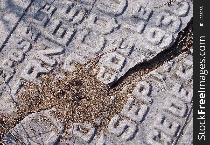 Old fallen cracked gravestone with anthill. Old fallen cracked gravestone with anthill.