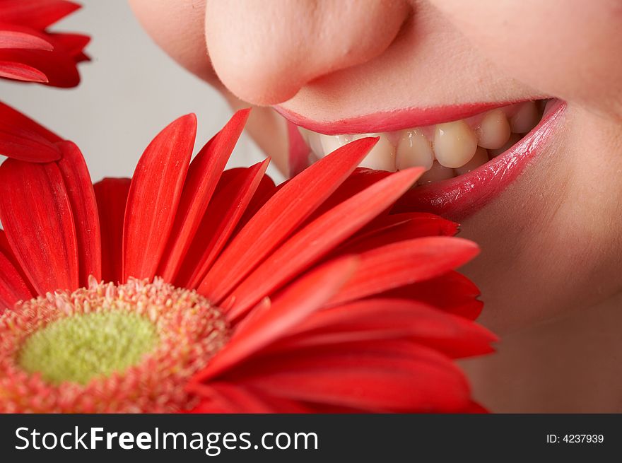 An image of woman's lips and flowers close-up. An image of woman's lips and flowers close-up