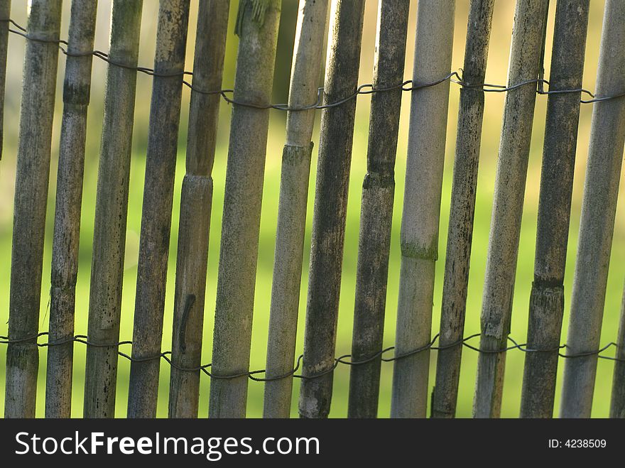 Old bamboo fence like background