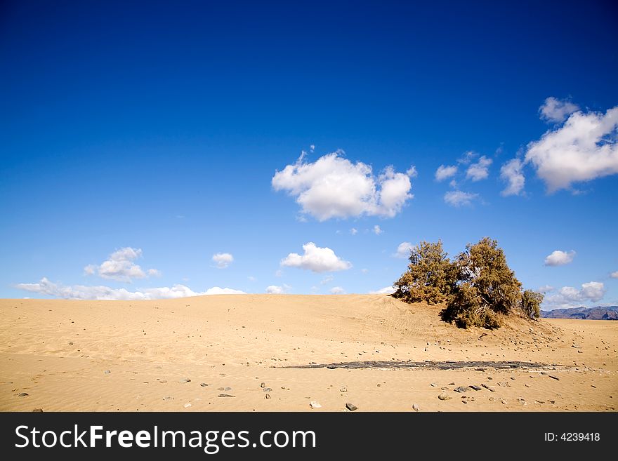 Maspalomas sand dunes