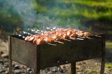 Shashlik On Nature Stock Photos Shashlik On Nature Stock Photos