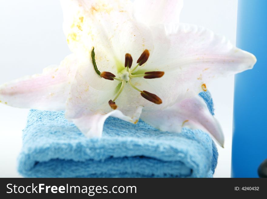 White towels and fresh lily on white color background