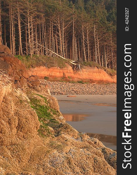 Coastal scene - Cape Lookout State Park. Coastal scene - Cape Lookout State Park