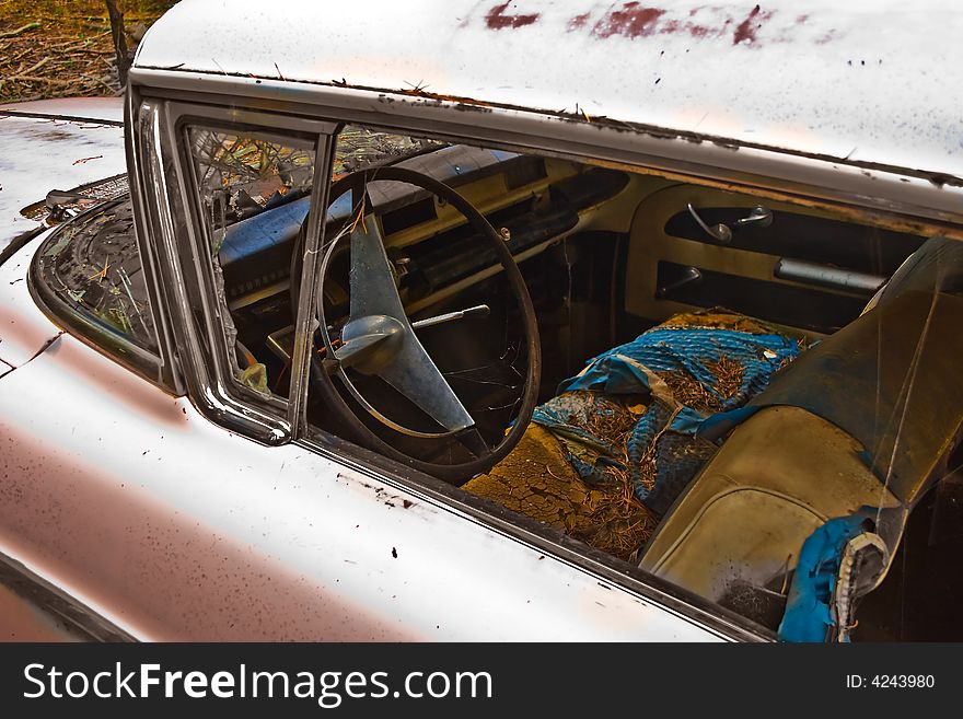 The interior of a pink special hardtop abandoned in the woods complete with ratty foam and dirt. The interior of a pink special hardtop abandoned in the woods complete with ratty foam and dirt