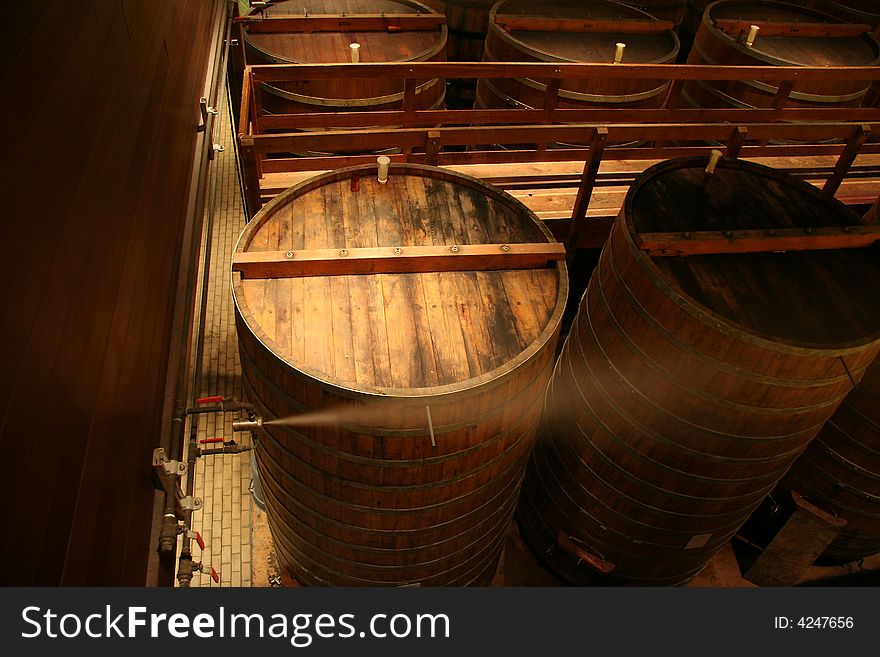 Huge wooden wine barrels lined up with humidifier jet on
