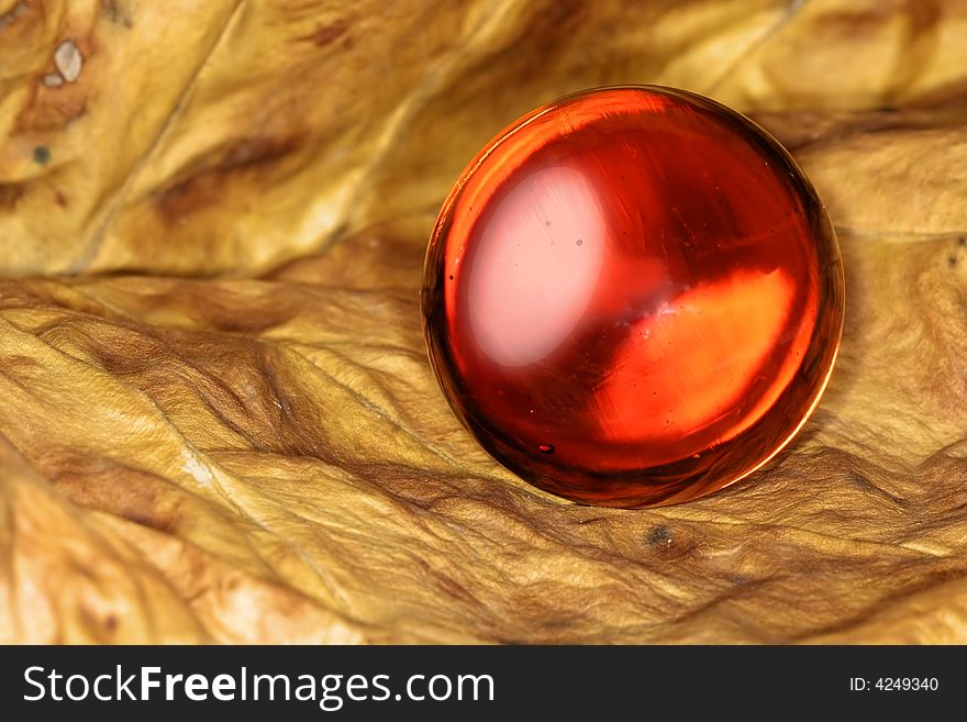 Red glass ball on brown leaf