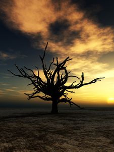 Barren Tree 21 Stock Images Barren Tree 21 Stock Images