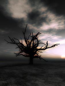 Barren Tree 23 Royalty Free Stock Photo Barren Tree 23 Royalty Free Stock Photo
