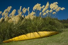 Summer Days Royalty Free Stock Photography Summer Days Royalty Free Stock Photography