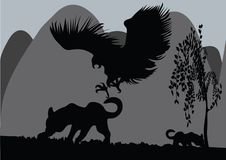 Eagle And Leopard Royalty Free Stock Photo Eagle And Leopard Royalty Free Stock Photo