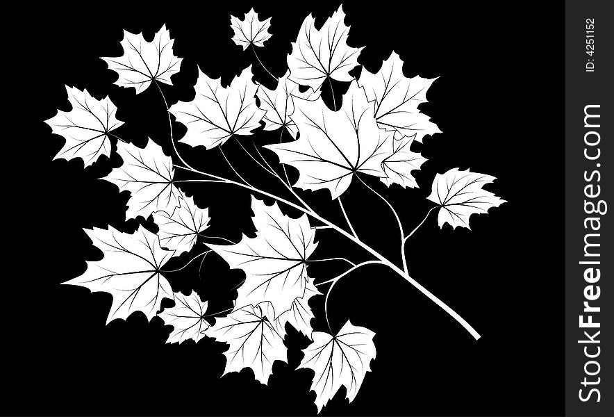 Vector illustration of maple branch