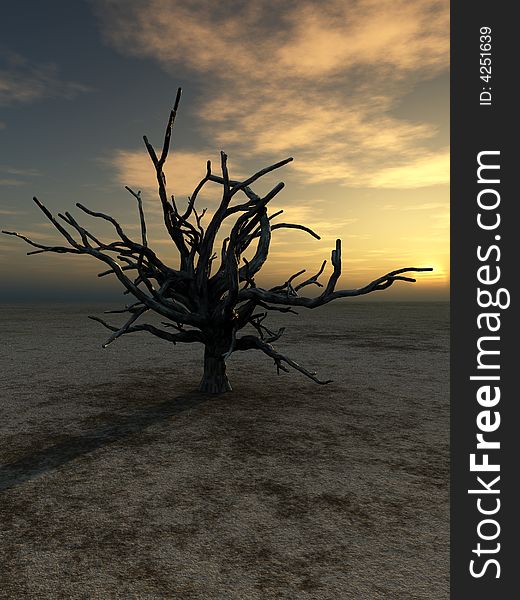 An image of a dead tree within a barren wilderness landscape, whilst the sunsets or rises in the background. An image of a dead tree within a barren wilderness landscape, whilst the sunsets or rises in the background.
