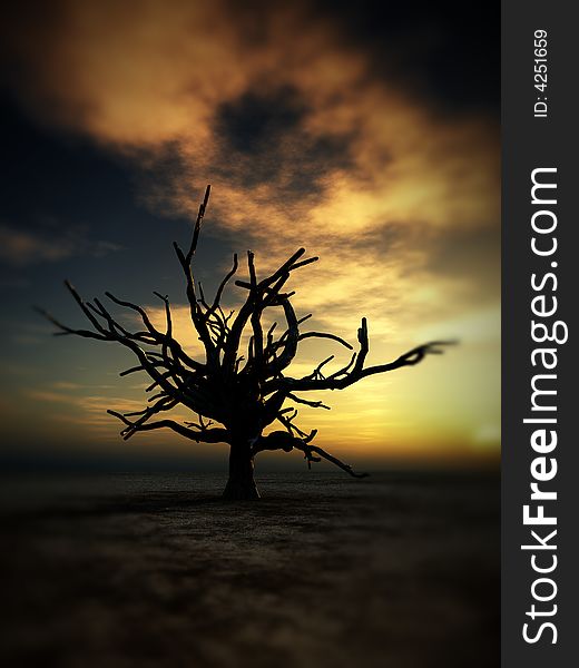 An image of a dead tree within a barren wilderness landscape, whilst the sunsets or rises in the background. An image of a dead tree within a barren wilderness landscape, whilst the sunsets or rises in the background.