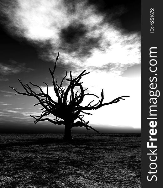 An image of a dead tree within a barren wilderness landscape, whilst the sunsets or rises in the background. An image of a dead tree within a barren wilderness landscape, whilst the sunsets or rises in the background.